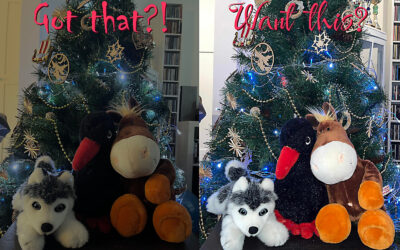 3 Steps How to Take a Perfect Dog in Front of Christmas Tree Photo on Your Phone