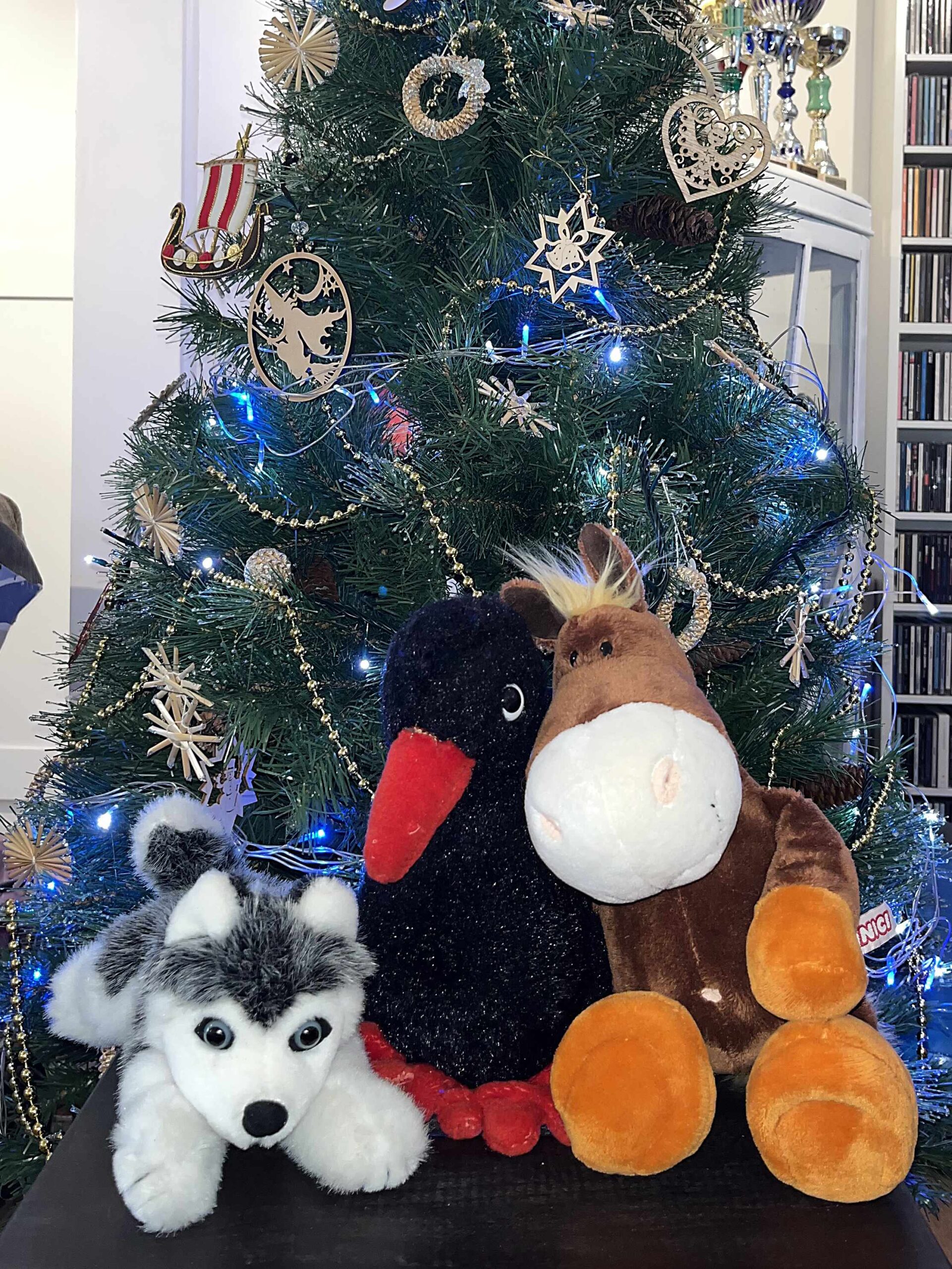 How to take the perfect Christmas Photo of your dog in front of the tree on your phone